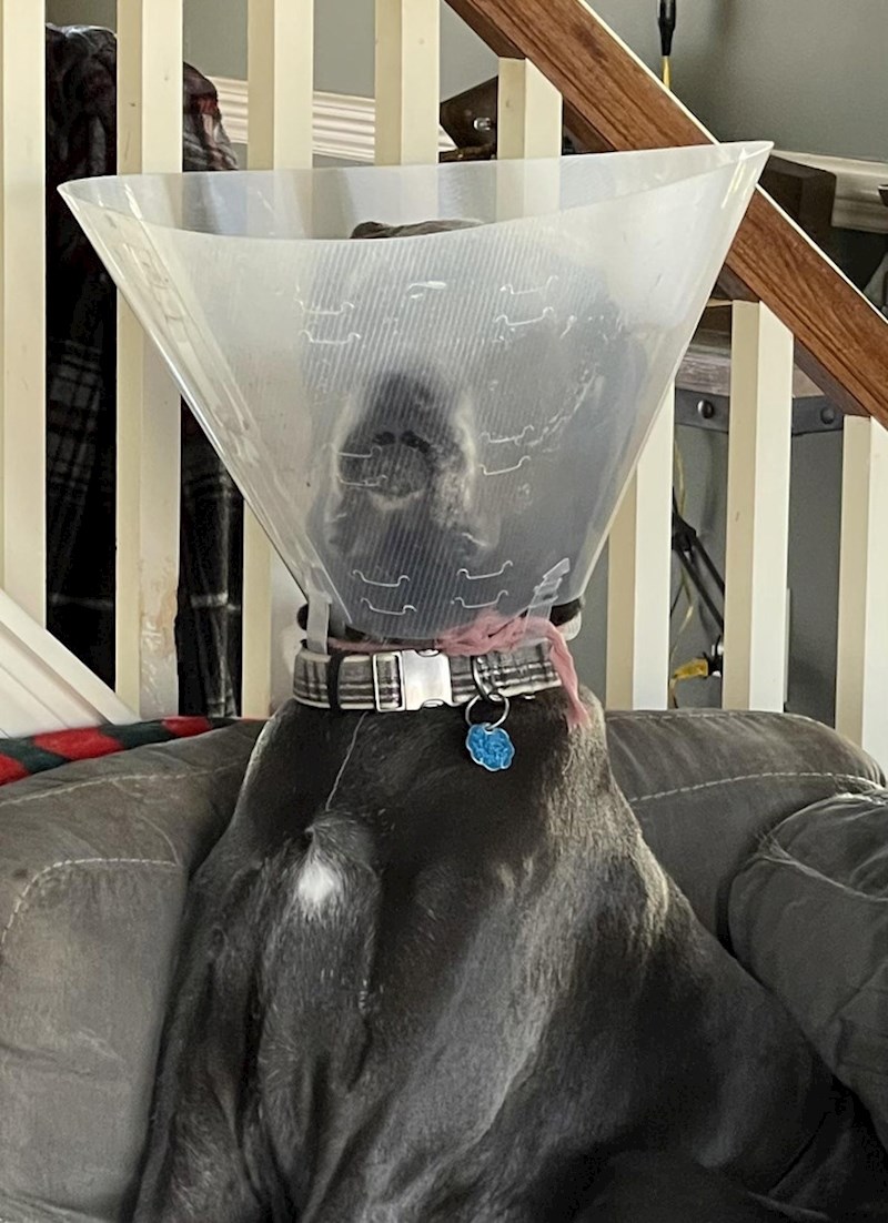 "Pitao sam ga prima li sada bolji signal, nije mu bilo smiješno"