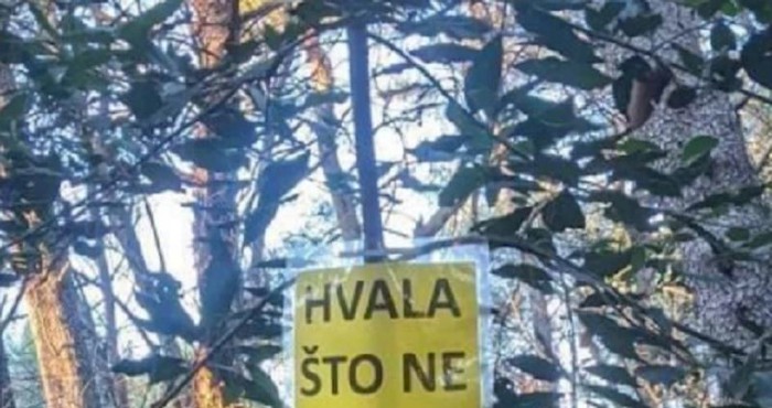 Svi lajkaju neobičan natpis iz jedne šume, odmah će vam biti jasno zašto!
