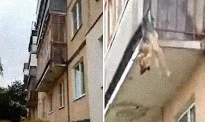 Pas je preko balkona pokušao pobjeći od vlasnika zlostavljača, susjedi mu spasili život