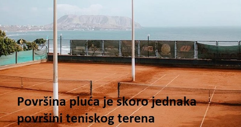 Zanimljivosti o ljudskom organizmu koje sigurno niste znali