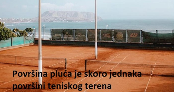 Zanimljivosti o ljudskom organizmu koje sigurno niste znali
