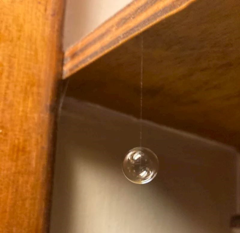 Balončić sapunice zapeo je za nit paučine