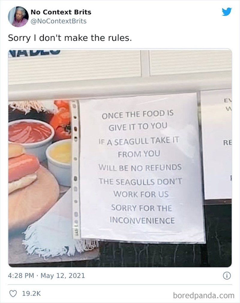 Ako vam galebovi ukradu hranu, ne vraćamo novac! Oni nisu naši radnici