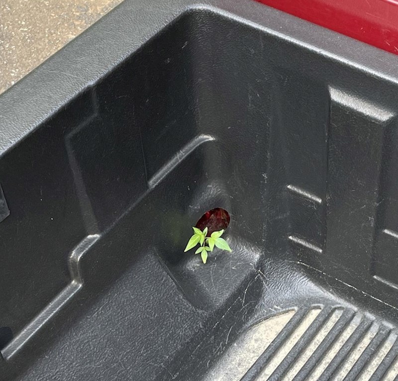 Upornost se isplati!