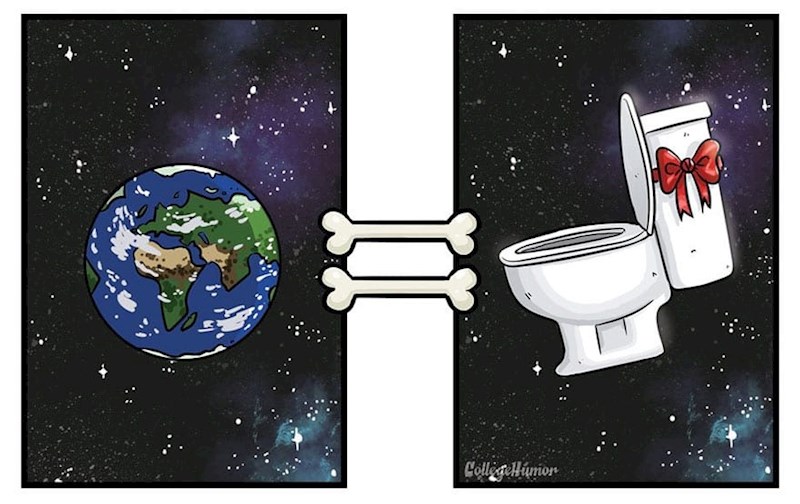 6. Zahodska školjka im je potpuno novi svijet koji treba istražiti i njušiti...