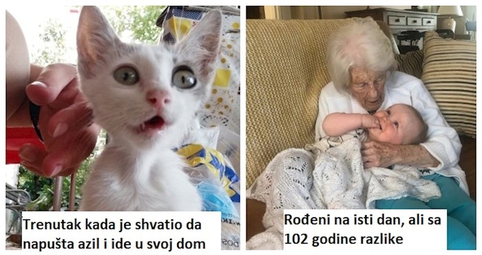 18 fotki koje dokazuju da sreću možemo pronaći svuda oko nas kada počnemo uživati u malim stvarima