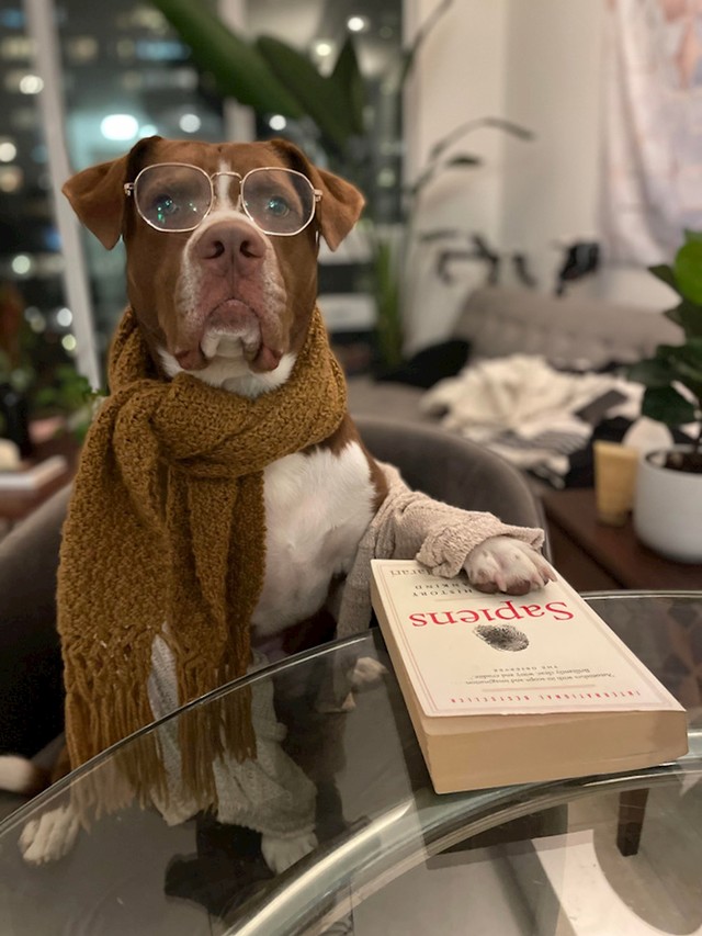 Tyson intelektualac
