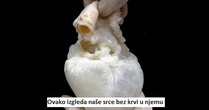 6 zanimljivih fotki koje prikazuju manje poznatu stranu uobičajenih stvari