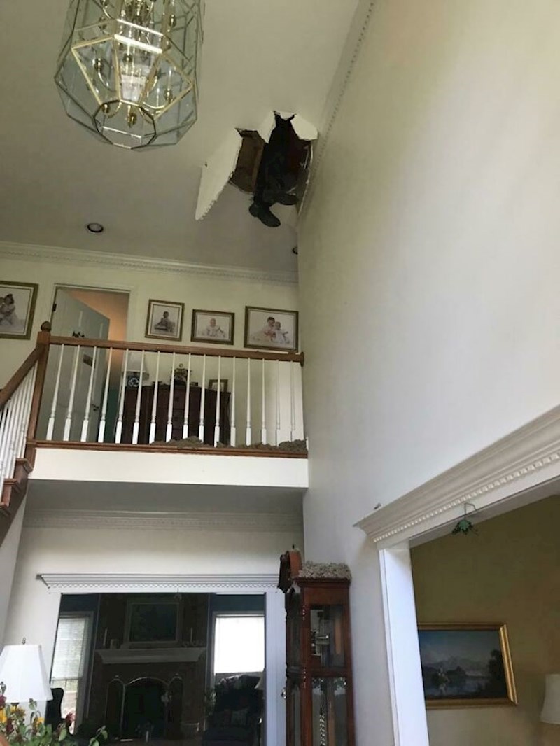 "Majstor nam je popravljao potkrovlje i propao. Nije ozlijeđen, ali pozvan je na večeru s mojom obitelji u subotu""