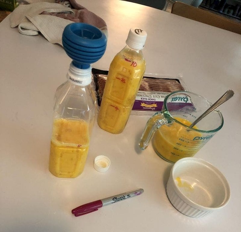 Kako unaprijed pripremiti omlet za kampiranje, uz pravilno doziranje!