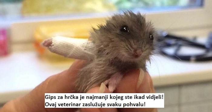 15 ljudi koji svakog dana daju 200% od sebe na poslu i u tome uživaju!