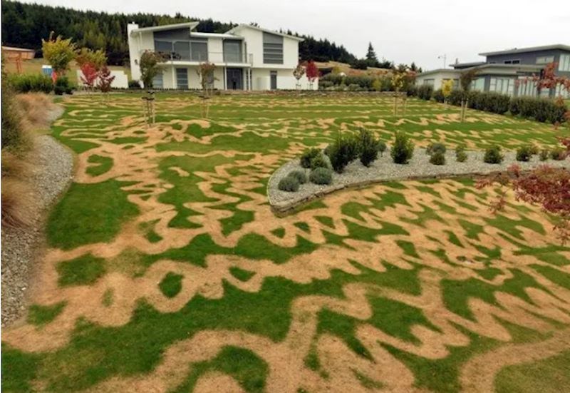 11. Koristio je krivo sredstvo i uništio travnjak