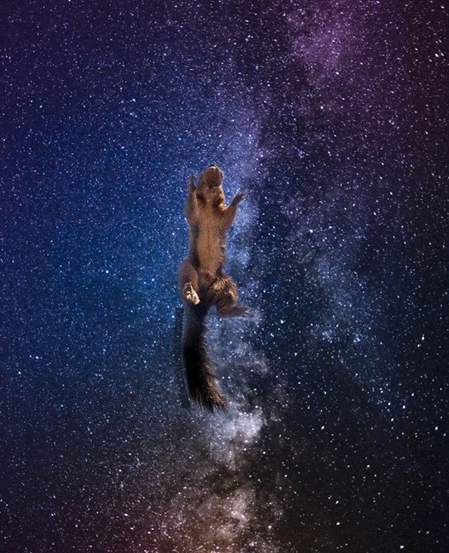 14.