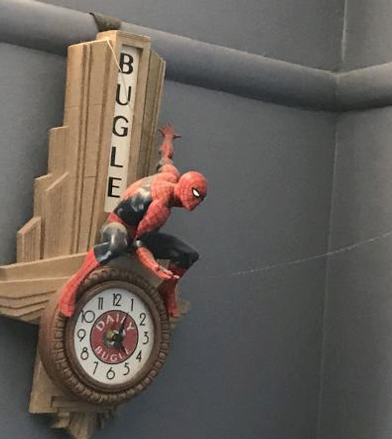 Pauk je ispleo mrežu točno gdje je trebao!