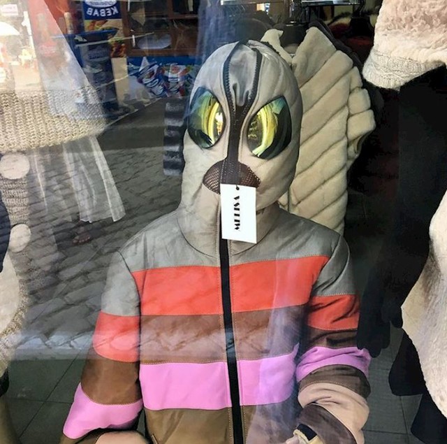 11.