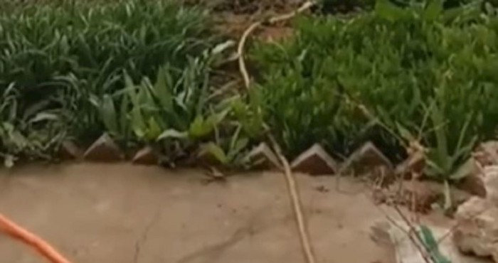 Netko je u Srbiji snimio zanimljivu metodu zalijevanja vrta, video je hit!