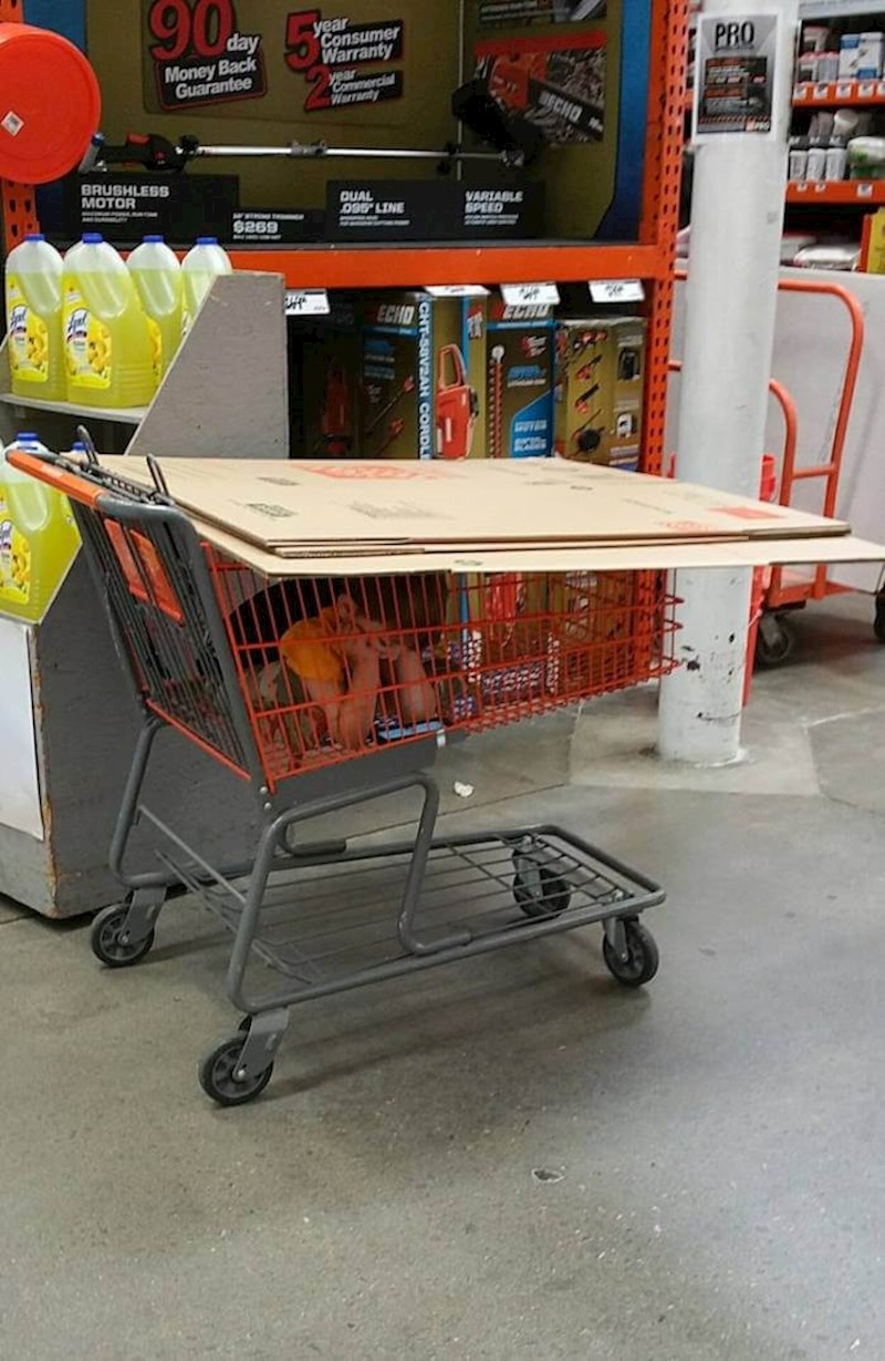 Kvalitetno vrijeme provedeno sa sinom...