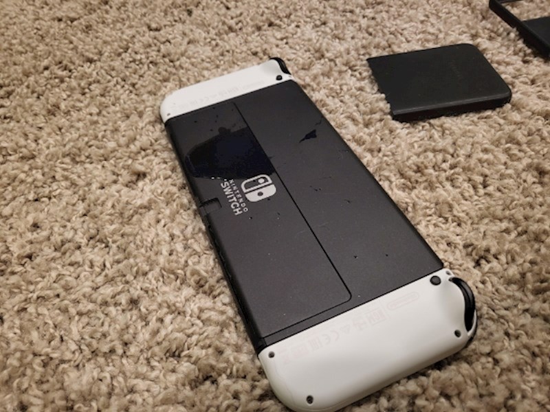 "Mačka je popiškila moj Nintendo Switch"