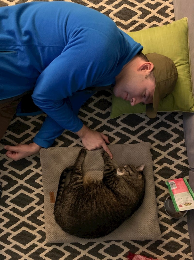 "Mačak se oporavlja od operacije, a moj muž budno prati njegovo stanje"