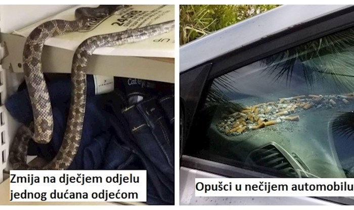 13 fotki koje će vas toliko uznemiriti da ćete jedva doći do kraja galerije