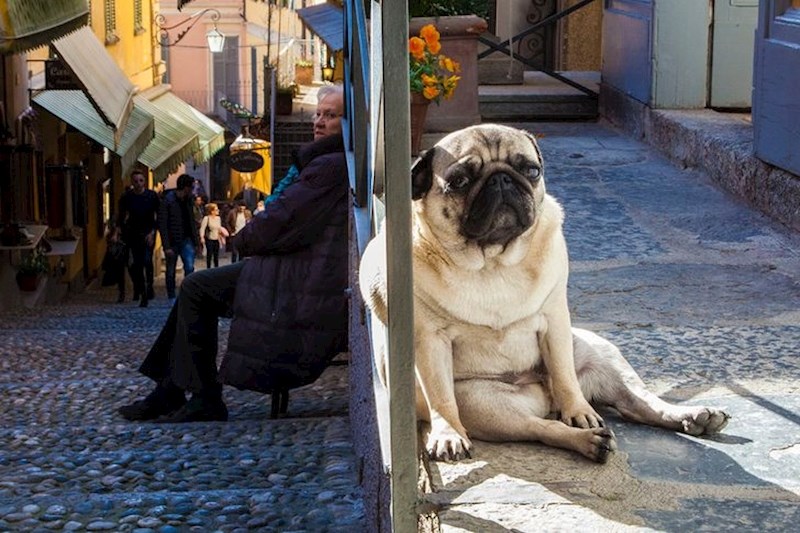 Ovo nisu dvije slike u jednoj!