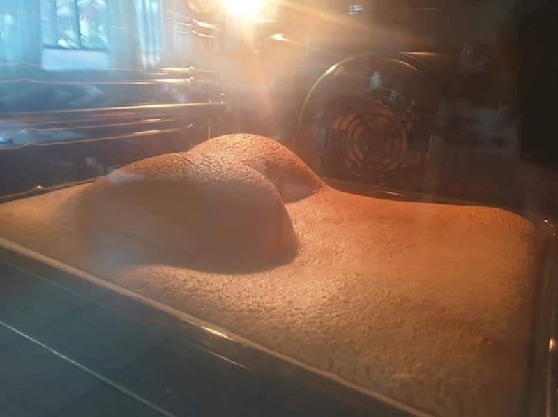 Izgleda da moj biskvit prolazi kroz pubertet