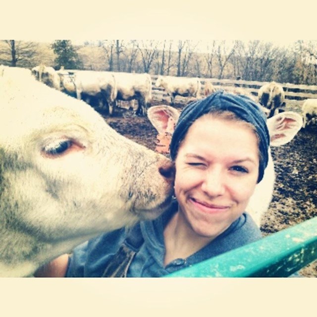 "Fotkao sam ženu s omiljenom kravom. Tek smo kasnije vidjeli smiješnu slučajnost"