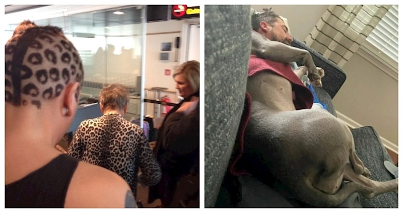 19 prizora koji zbog kojih ćete pomisliti da je život samo bujica slučajnosti