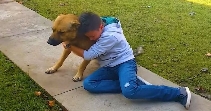 VIDEO Ovo je nešto najdirljivije što ćete danas vidjeti; kada pse vrate njihovim obiteljima