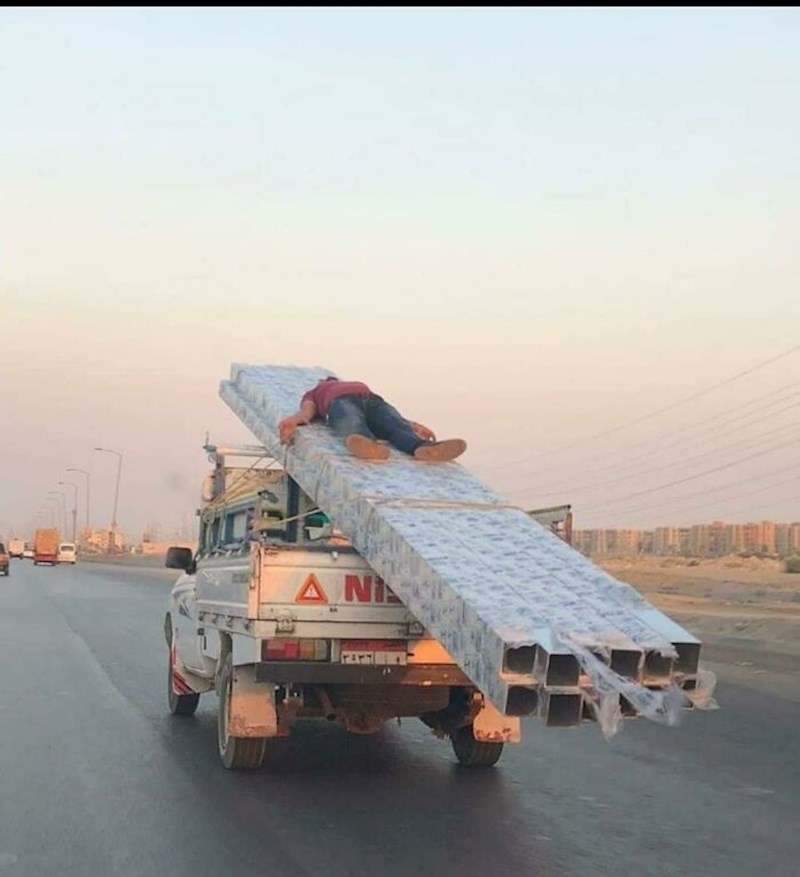 Prizori koji ne čude domaće stanovništvo 😂