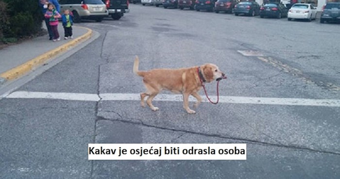 20+ memeova koji urnebesno opisuju život ljudi koji se teško nose s tim da su- odrasli!