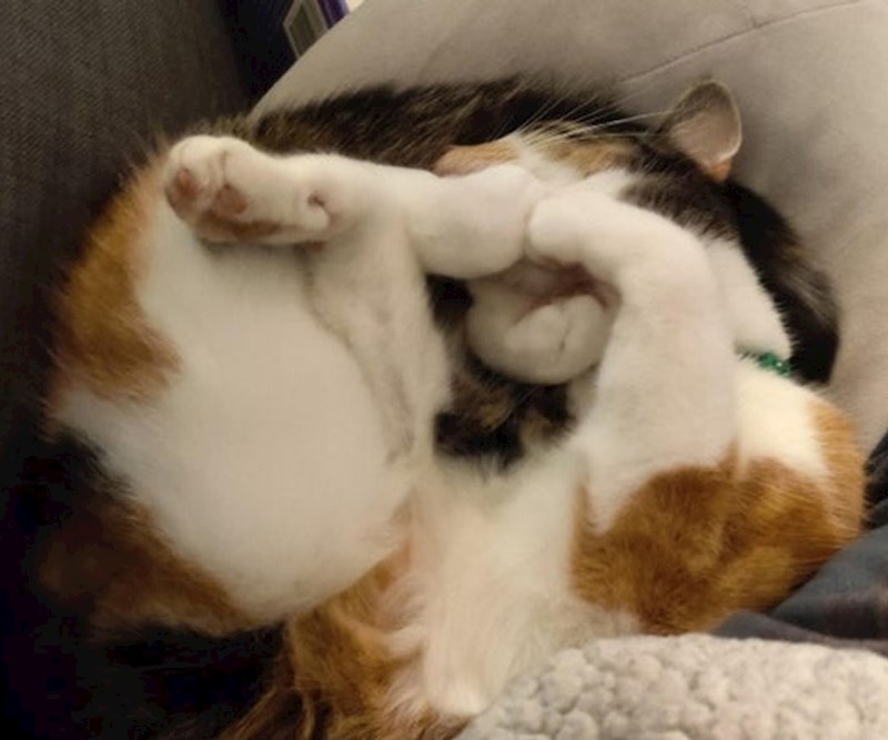 10. Probajte vi ovo raspetljati pa nam javite...