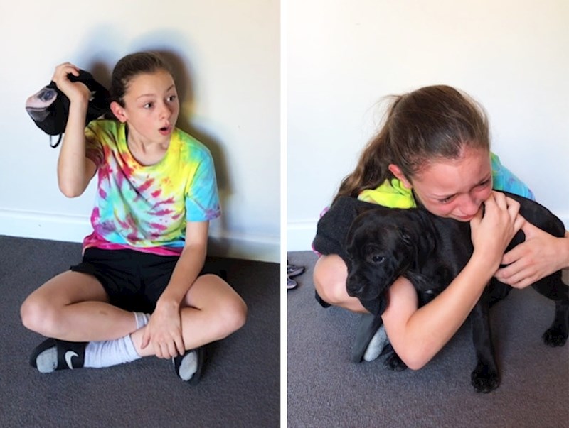 Iskrena emocija ove djevojčice nakon što joj shvatila da je dobila psića