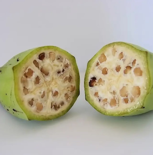 Ovako izgleda divlja banana
