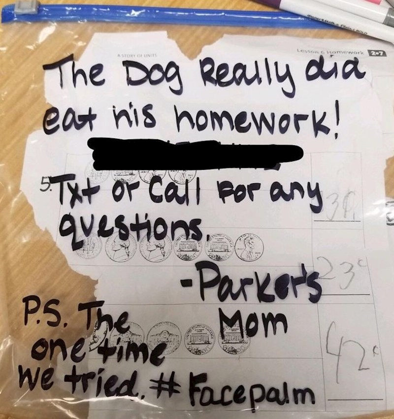 "Pas je zaista pojeo njegov domaći rad. Prvi put kad smo se stvarno potrudili..."