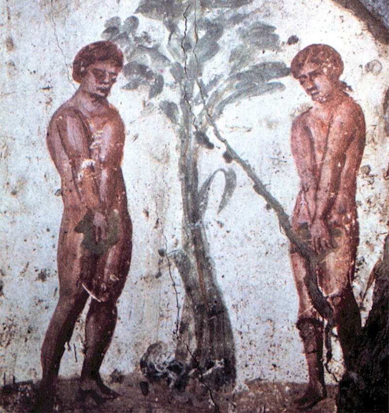 "Adam i Eva su bili bijelci jer su takvi na slikama"