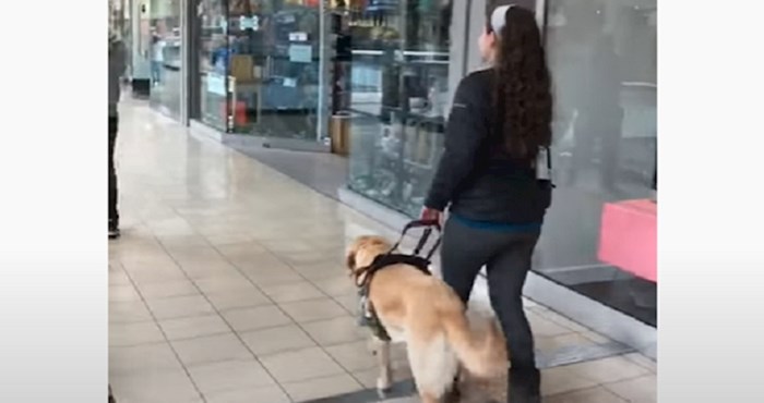 Svaki put kada je u trgovačkom centru, ovaj pas vodič zavara vlasnicu i odvede ju u jednu trgovinu