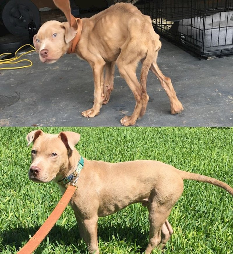 "Nakon nekoliko mjeseci brige i ljubavi"