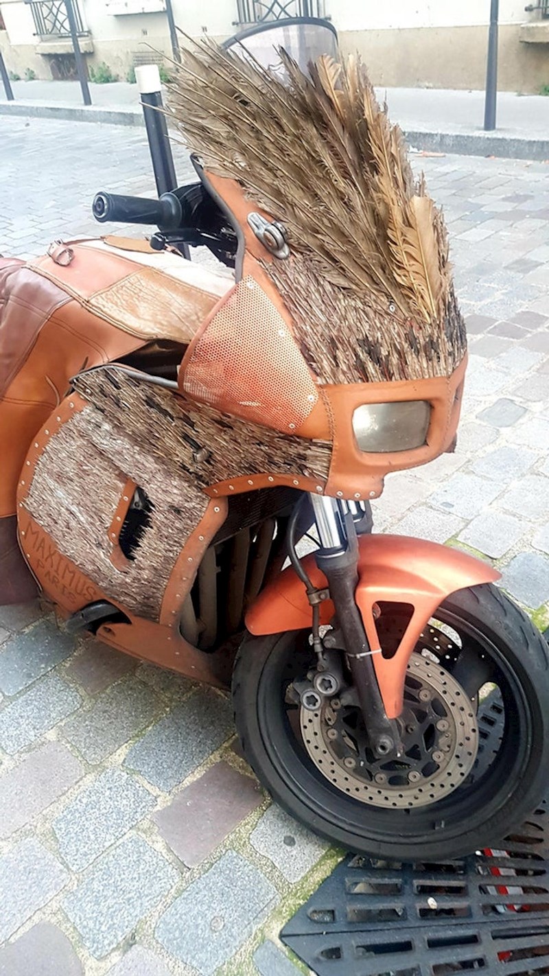 Motor obložen perjem i kožom