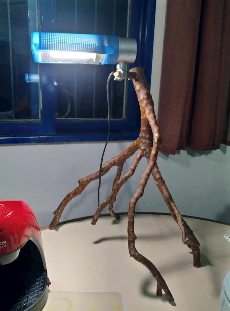 Razbilo mu se postolje svjetiljke. Sreća da je drvodjelac u pitanju!