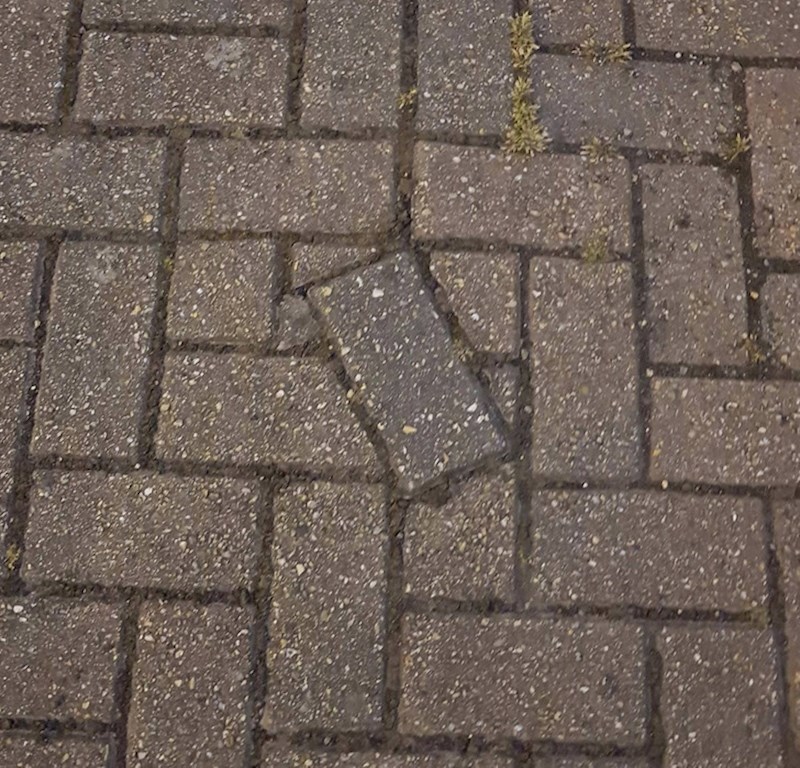 Halo, policija? Trebamo prijaviti zločin!