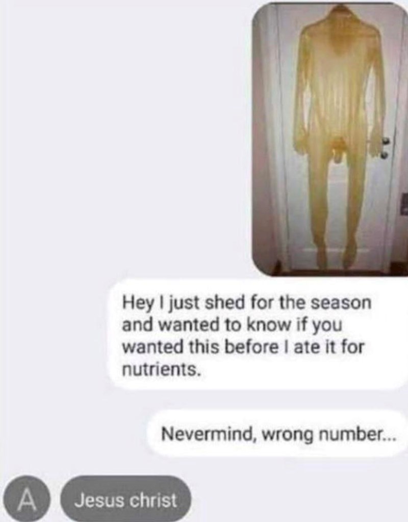 Zamislite da dobijete ove poruke! Vjerojatno bismo bacili mobitel i zapalili SIM karticu!