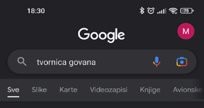 Znate li što vam Google izbaci kada u tražilicu upišete pojam sa slike? Slavoncima se neće svidjeti