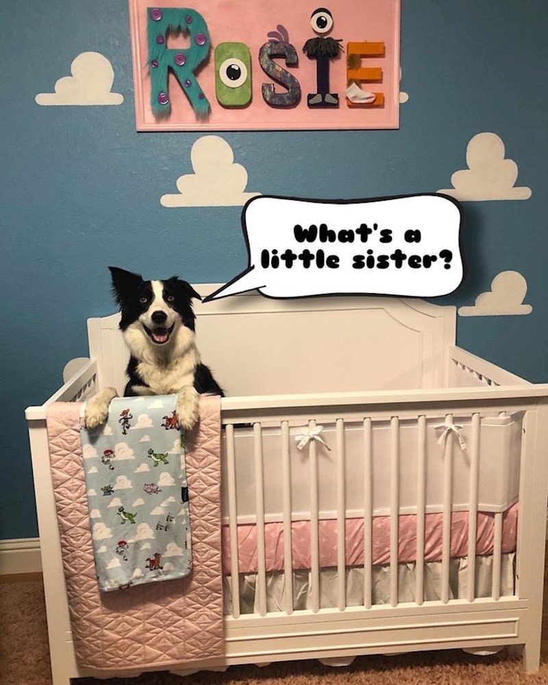 "Sve je spremno za dolazak naše princeze"