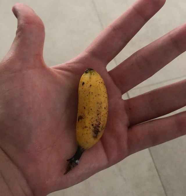 "Pronašla sam najmanju bananu ikad!"