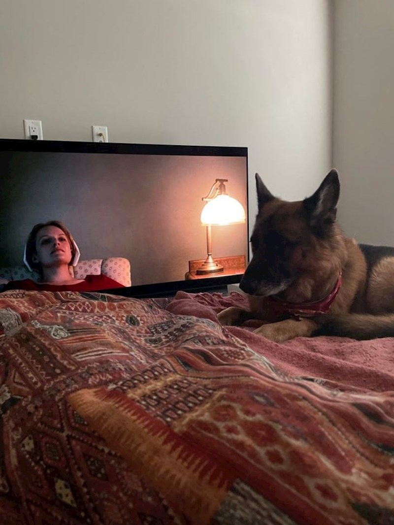 Izgleda kao da je s njima u krevetu