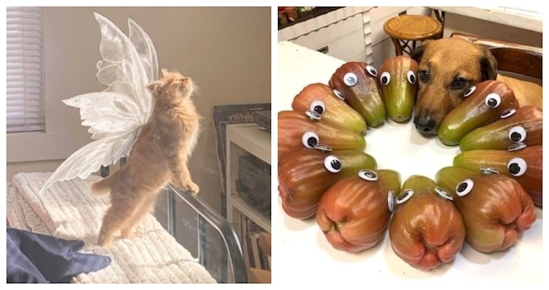 14 prizora koji će vam zagrijati srce bolje nego šalica toplog čaja