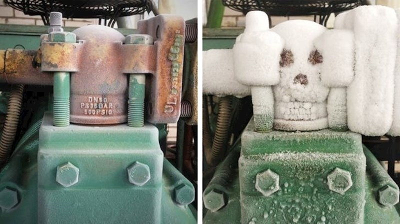 Svaki put kada su temperature ispod nule, oni iznenada dobiju kolegu