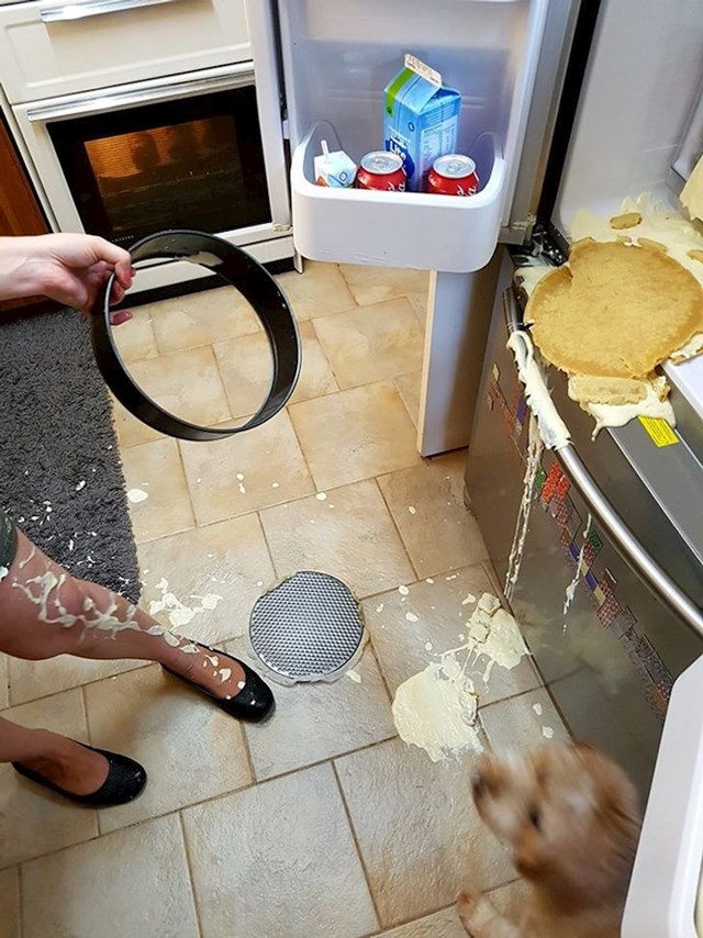 2. Izgleda da ništa od cheesecakea