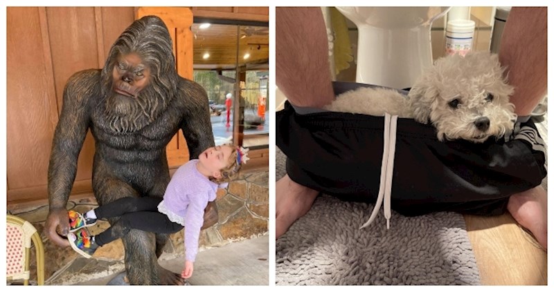 12 smiješnih fotki koje će vam u sekundi podignuti raspoloženje